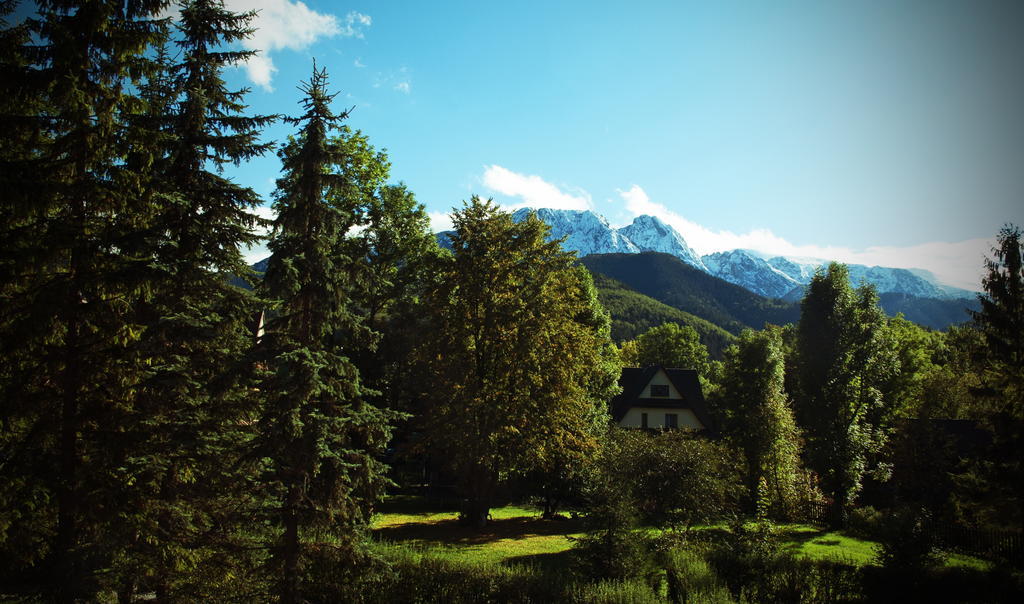 Klimkowka Villa Zakopane Oda fotoğraf