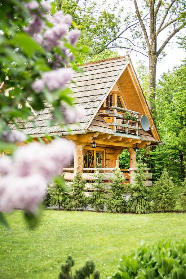 Klimkowka Villa Zakopane Dış mekan fotoğraf